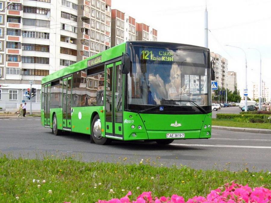  МАЗ-203 2006 года  (фото 4 из 10)
